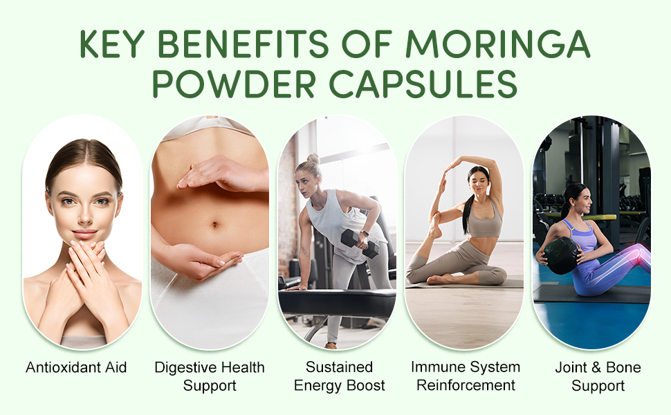 Moringa 100% Pure Capsules – Natural Energy, Immunity & Wellness Support | 60 Vegan Capsules
