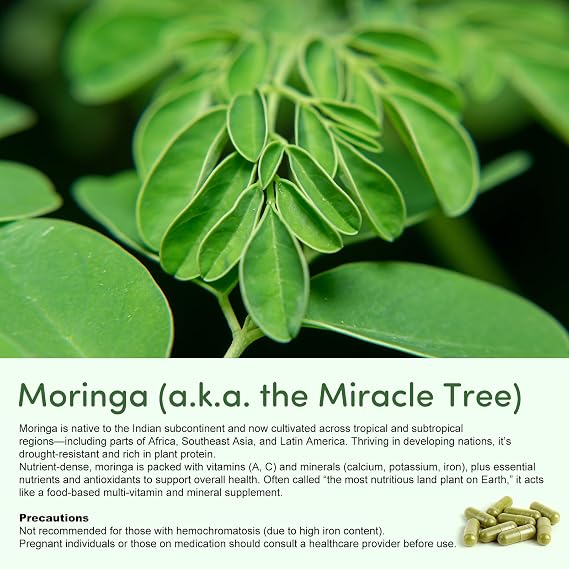 Moringa 100% Pure Capsules – Natural Energy, Immunity & Wellness Support | 60 Vegan Capsules