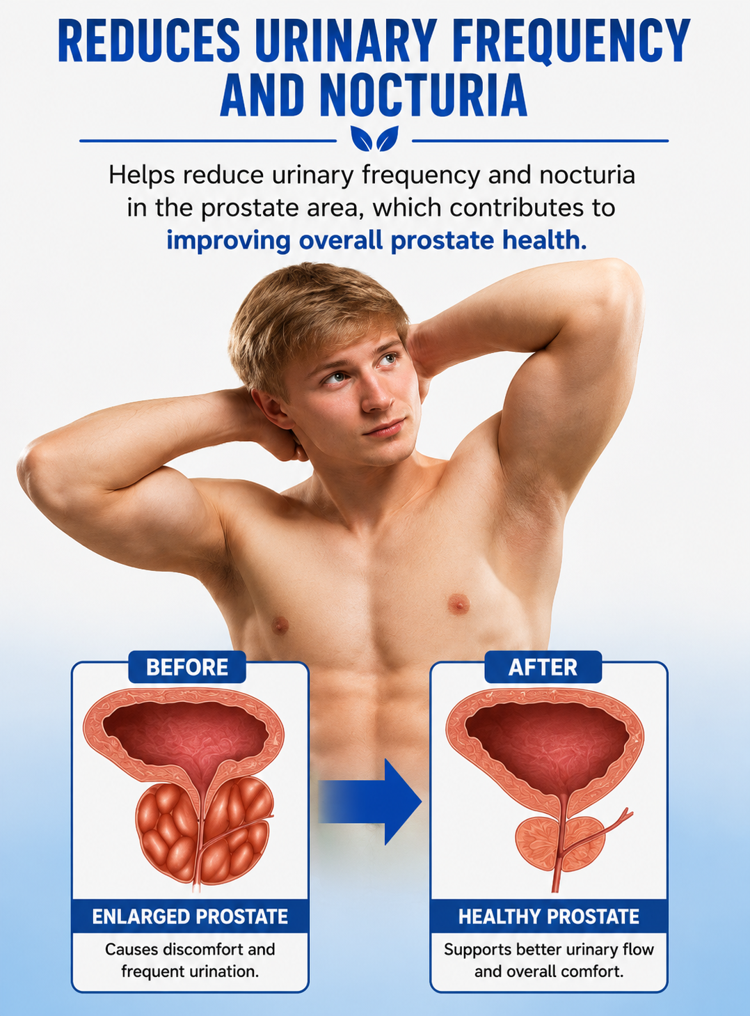 Sumifun™ Prostate Cream Treatment